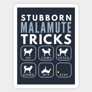 Stubborn Alaskan Malamute Tricks - Dog Training Magnet